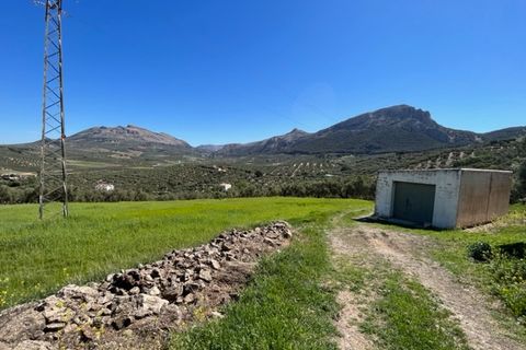 Landhaus in Villanueva Del Trabuco, Malaga - Foto 2